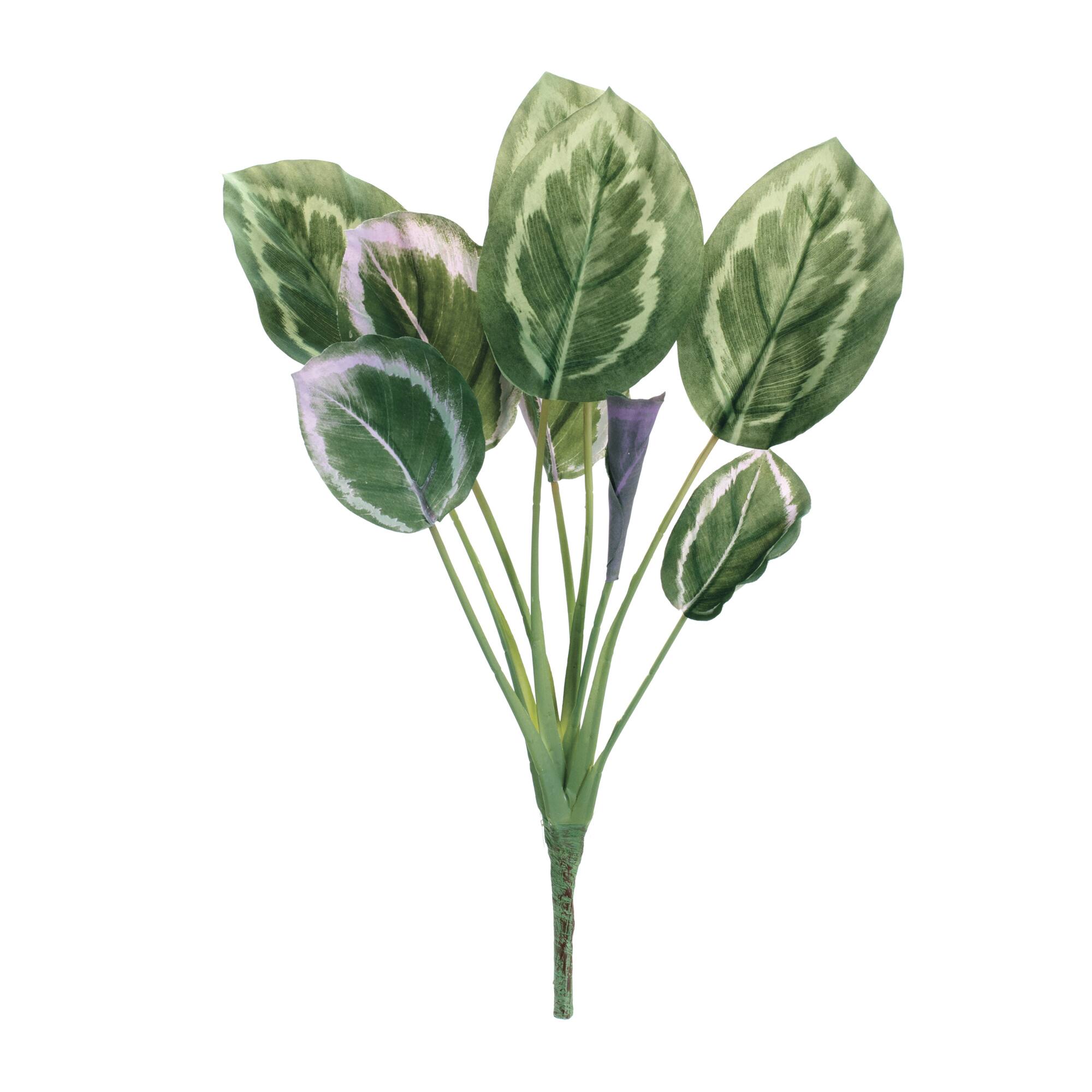 21.5" Prayer Plant Foliage Bushes, 6ct.